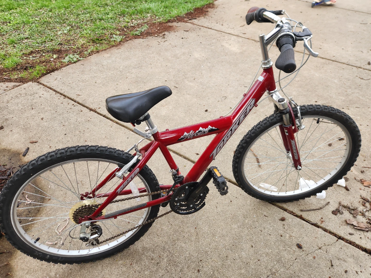 Mongoose Rockadile Youth Mountain Bike