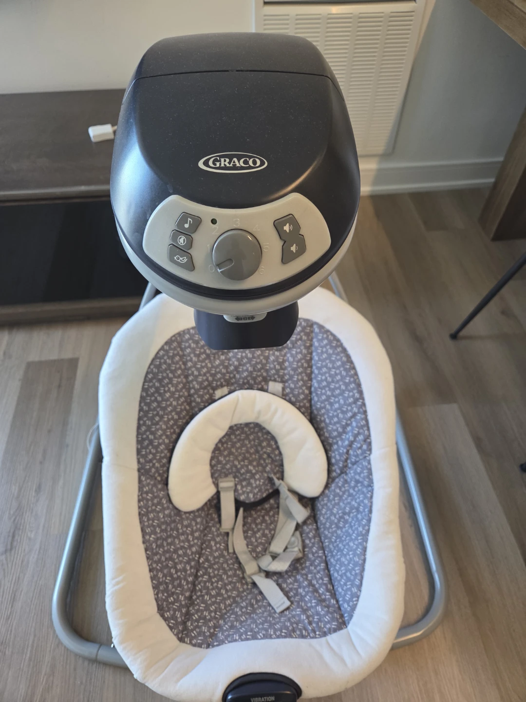 Graco Baby Swing
