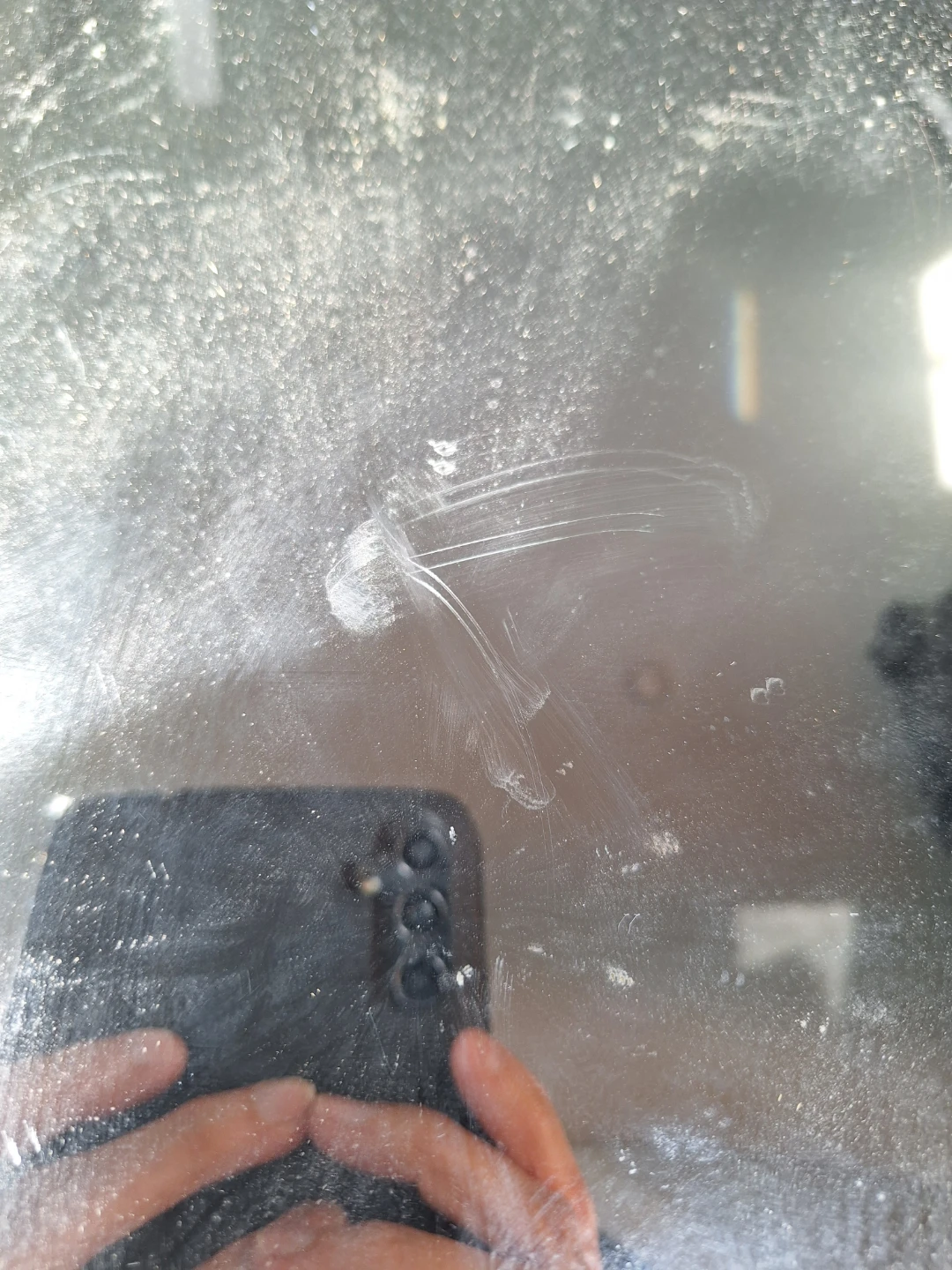 Mirror (Kit Cat Club rescue) - photo 3