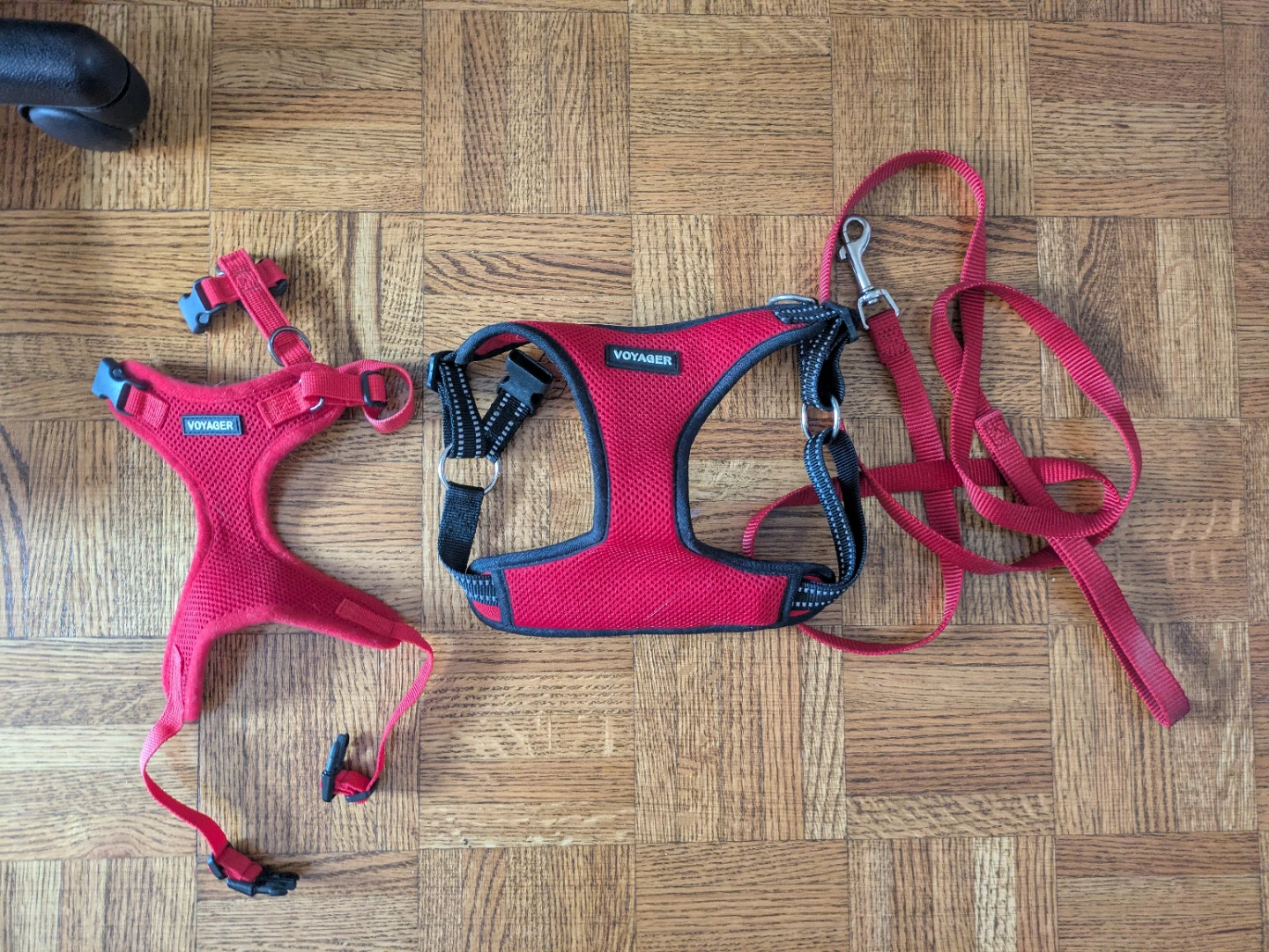 Small and Medium Dog/Cat Harness + Leash