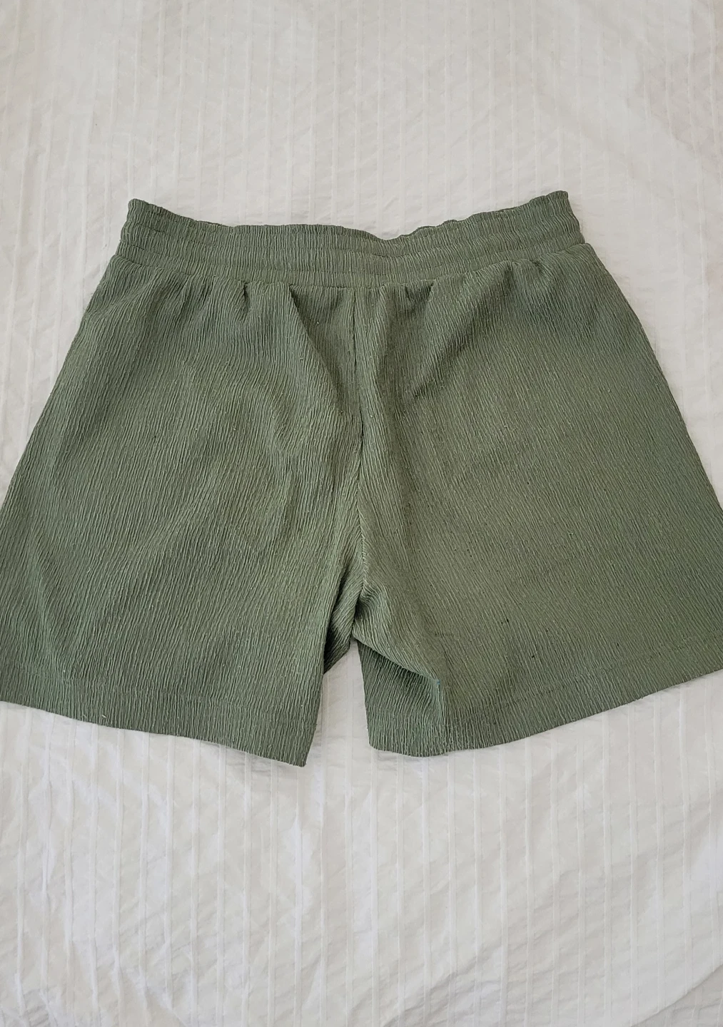 Green textured horts - photo 2