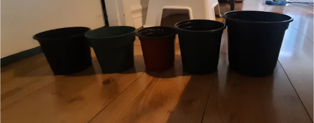 Pots for plants - photo 2