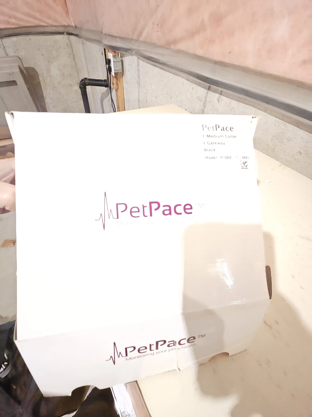 PetPace Medium Collar and Gateway Pet Health Monitoring System - photo 2