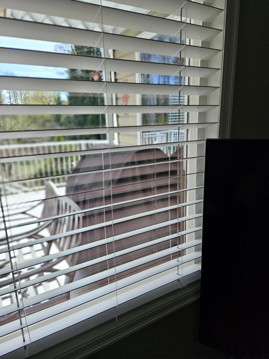Window blinds