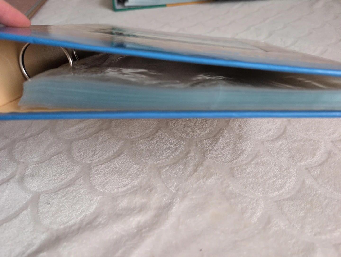 Blue Photo Album - photo 3
