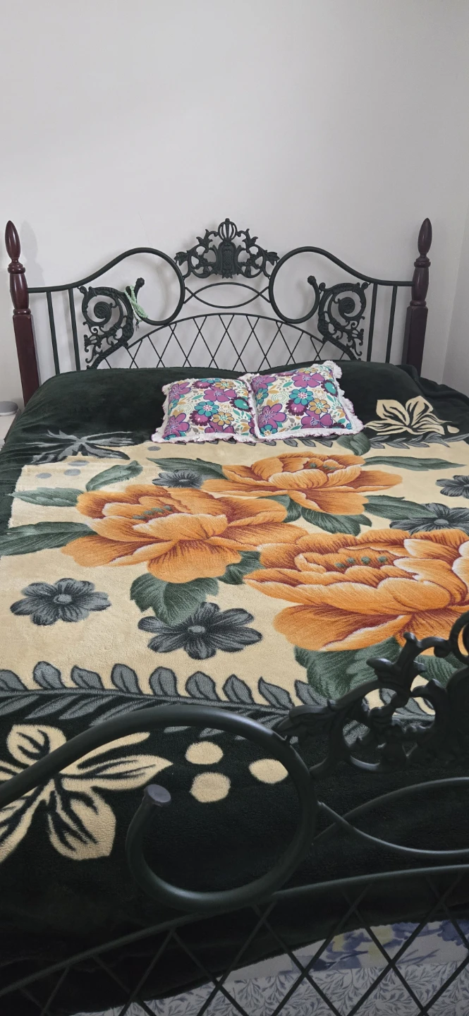 Vintage Metal Bed Frame with Ornate Headboard and canopy