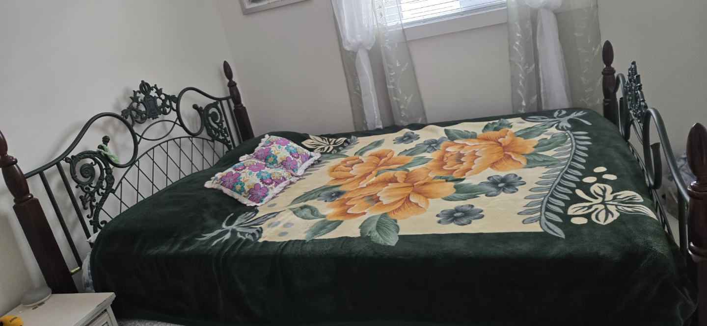 Vintage Metal Bed Frame with Ornate Headboard and canopy - photo 2