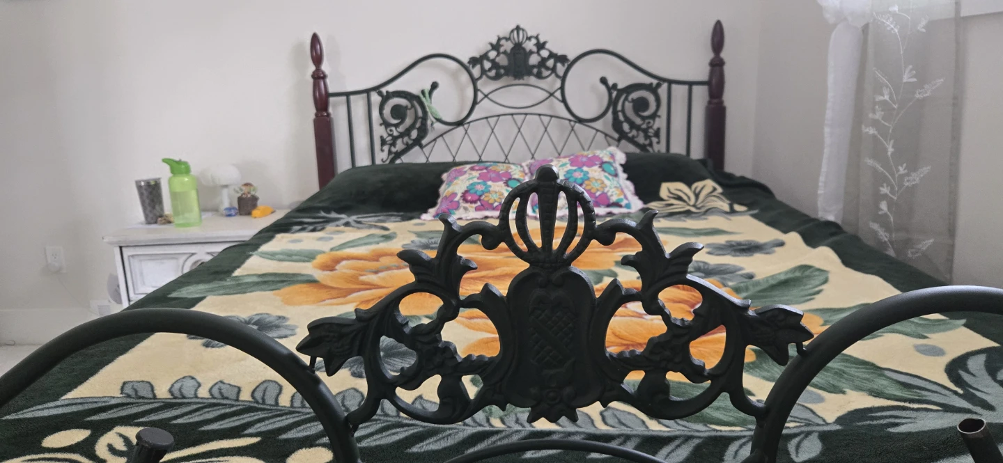 Vintage Metal Bed Frame with Ornate Headboard and canopy - photo 3