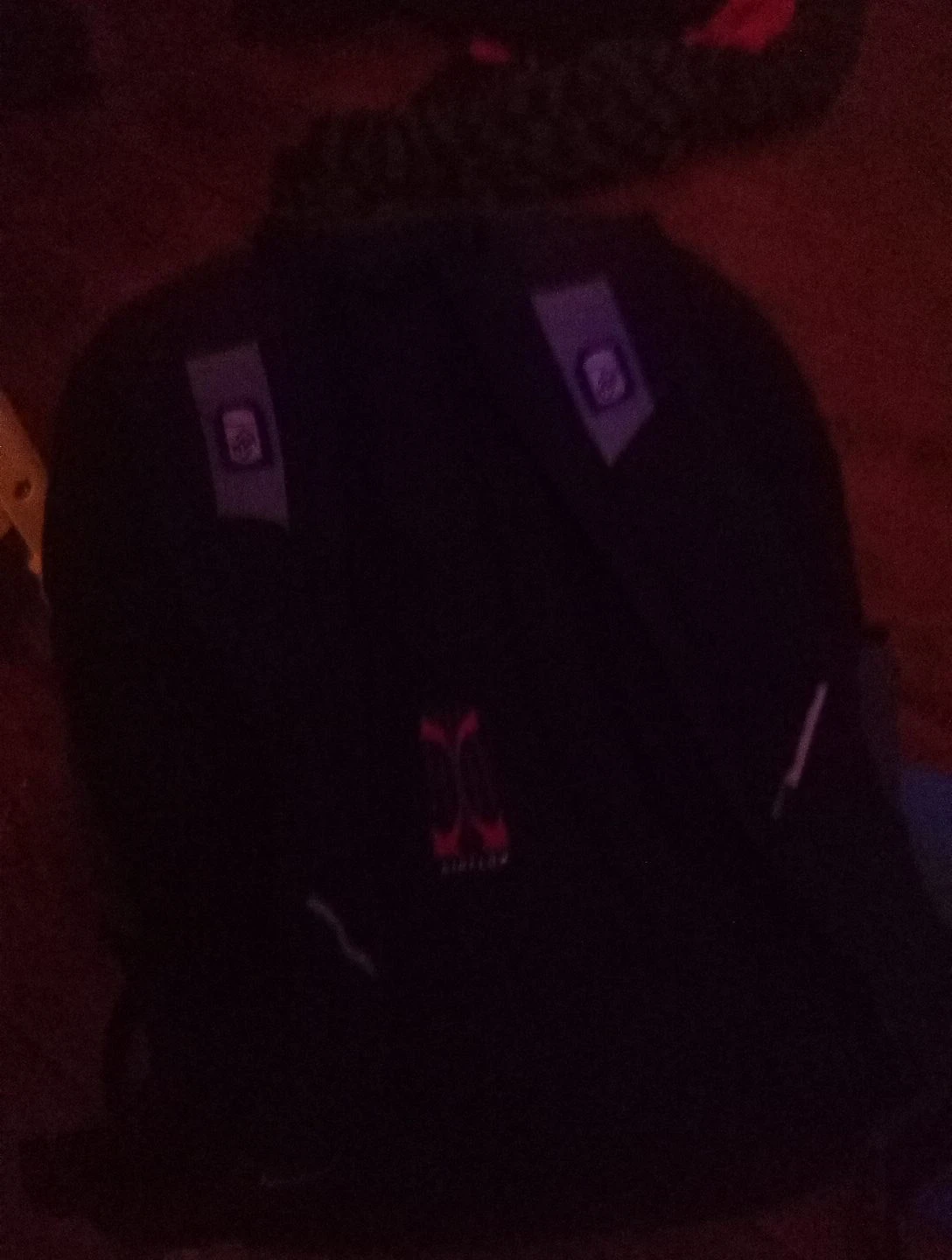 Swiss Gear Backpack - photo 3