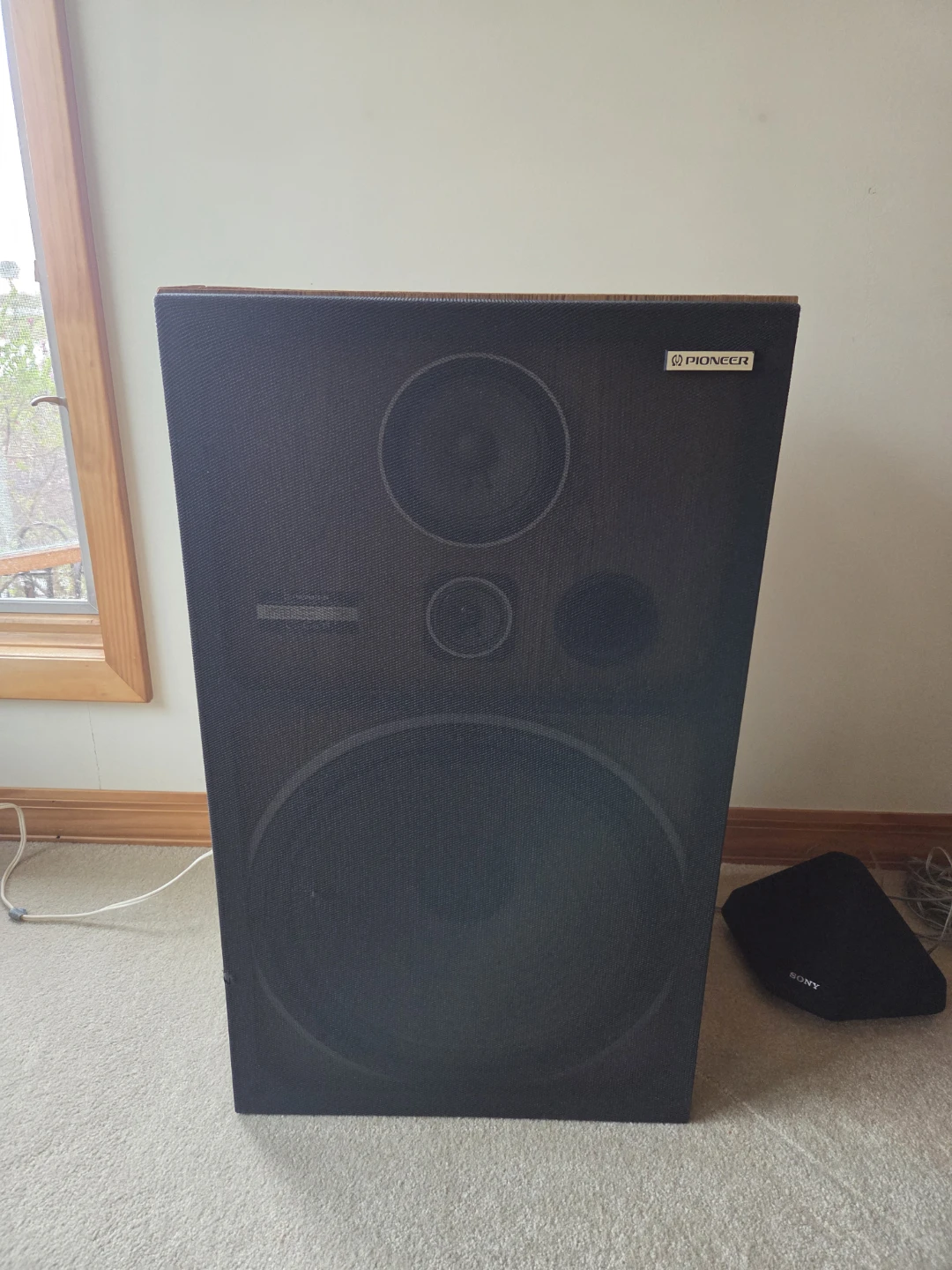 Pioneer Speaker - photo 4