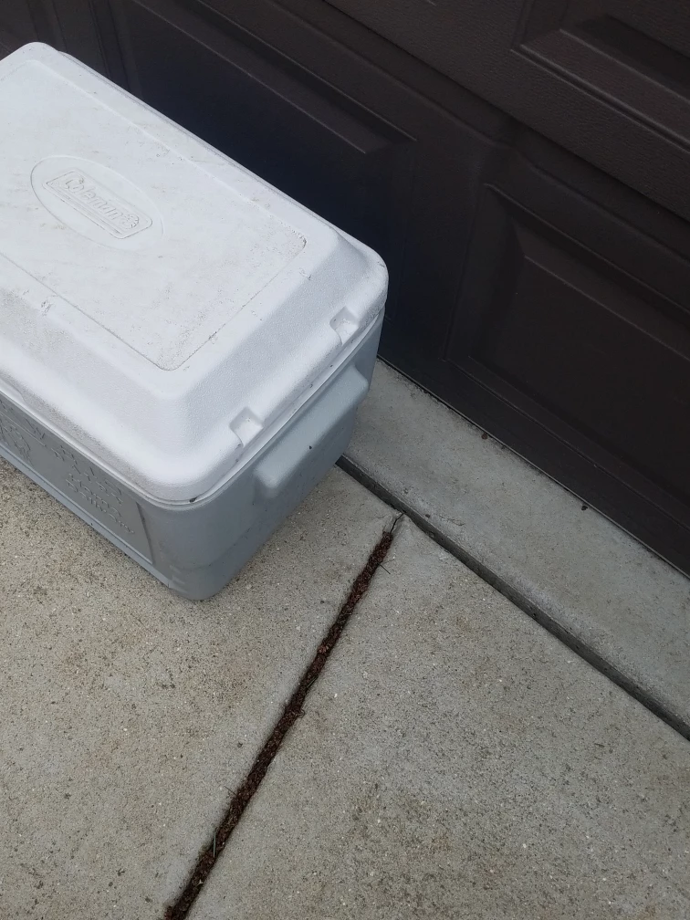 Coleman Cooler - photo 2