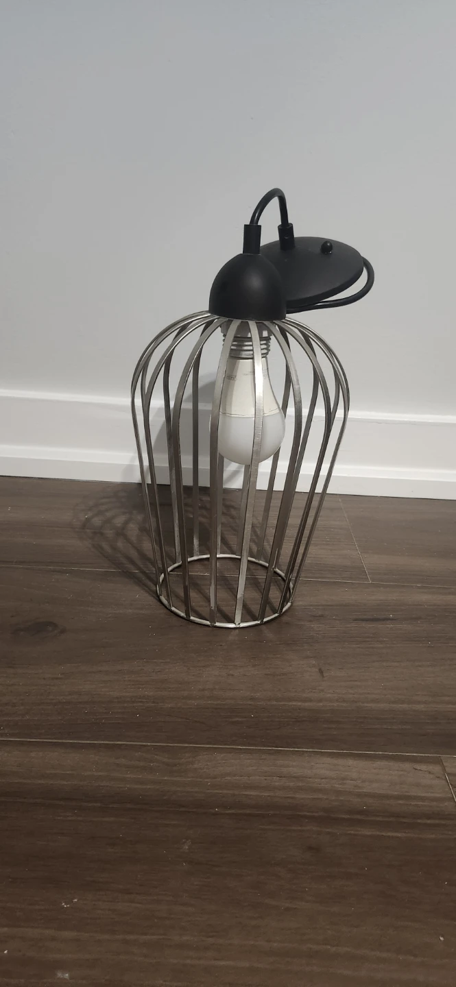 Industrial Style Metal Cage Light Fixture - photo 2