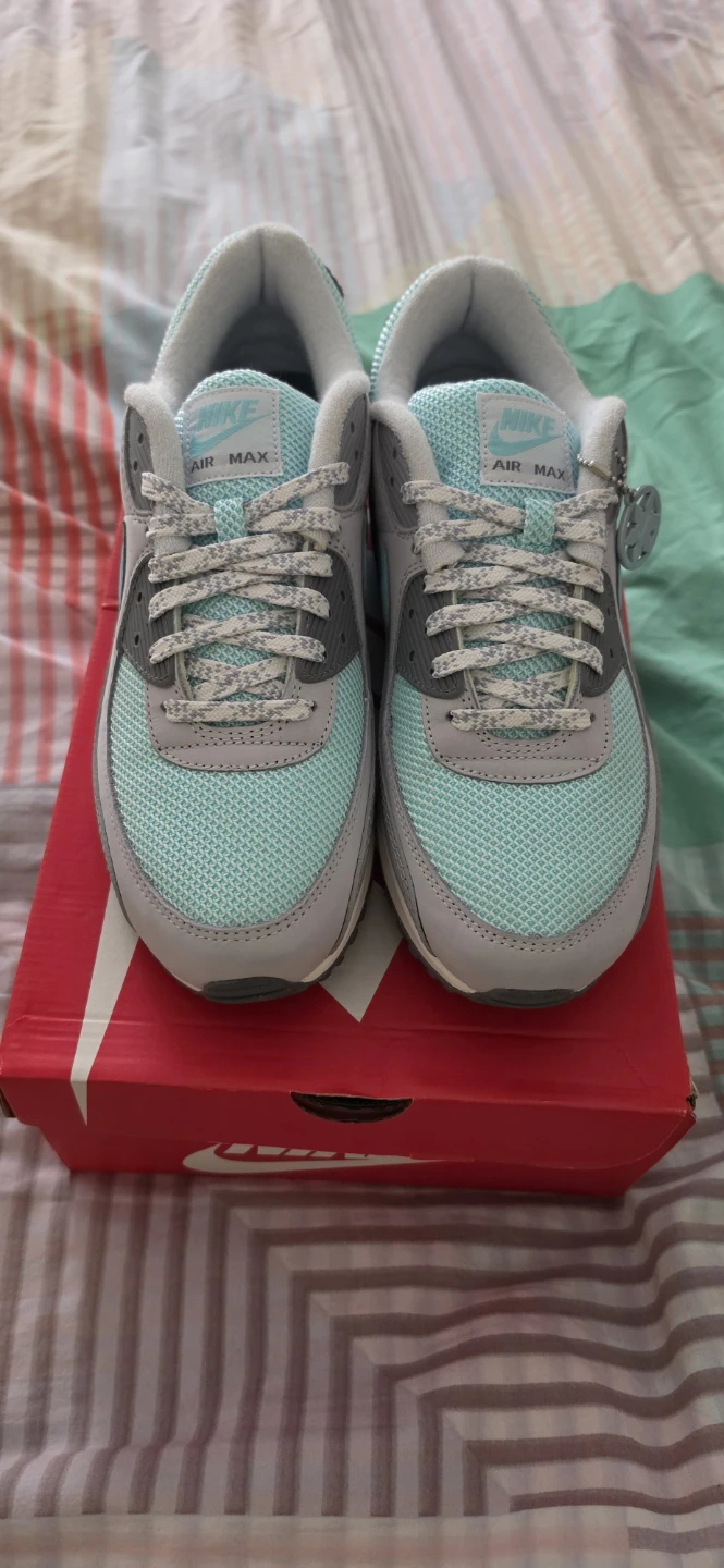 Nike Air Max 90 Men's Shoes