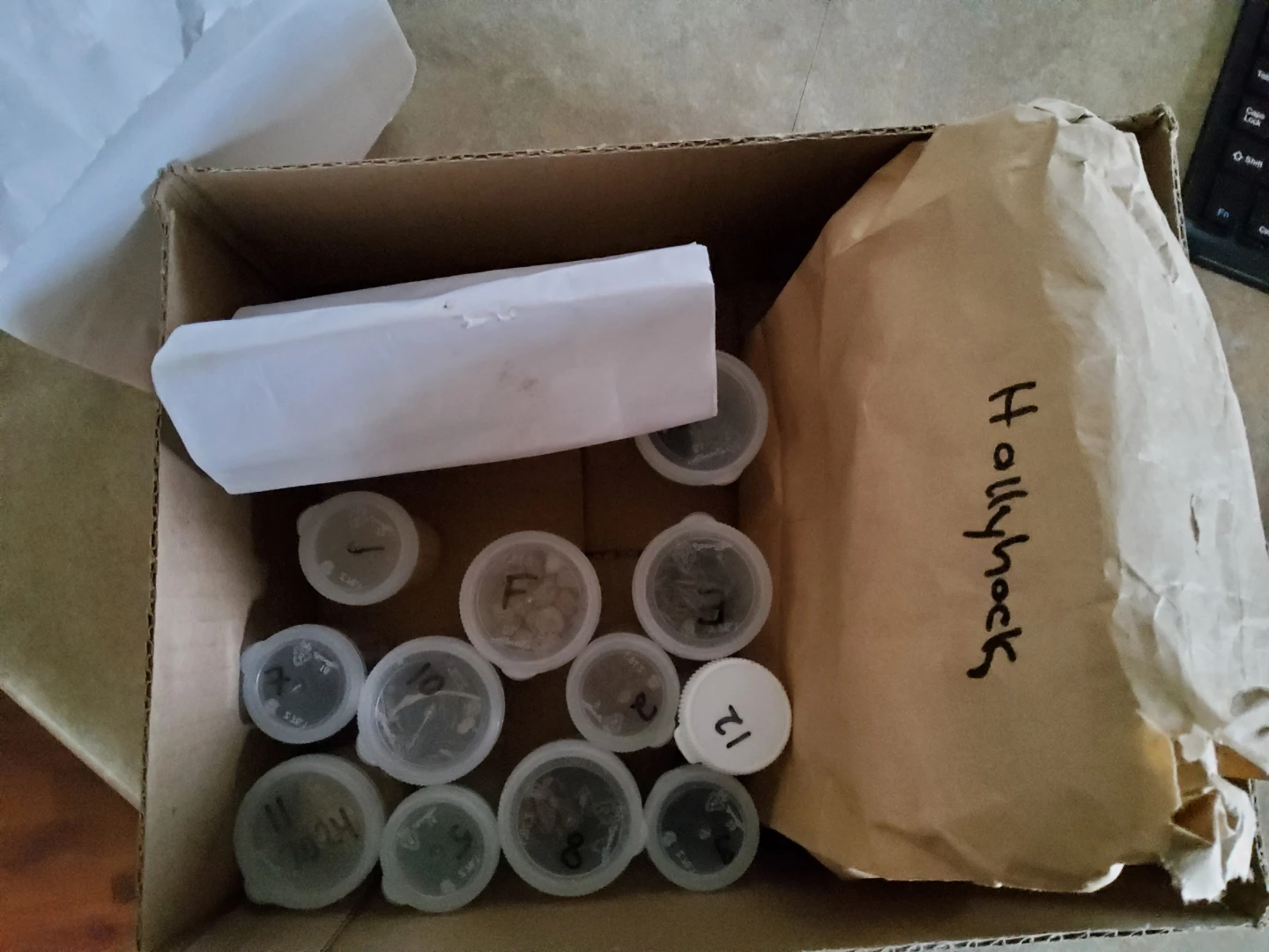Various annual seeds