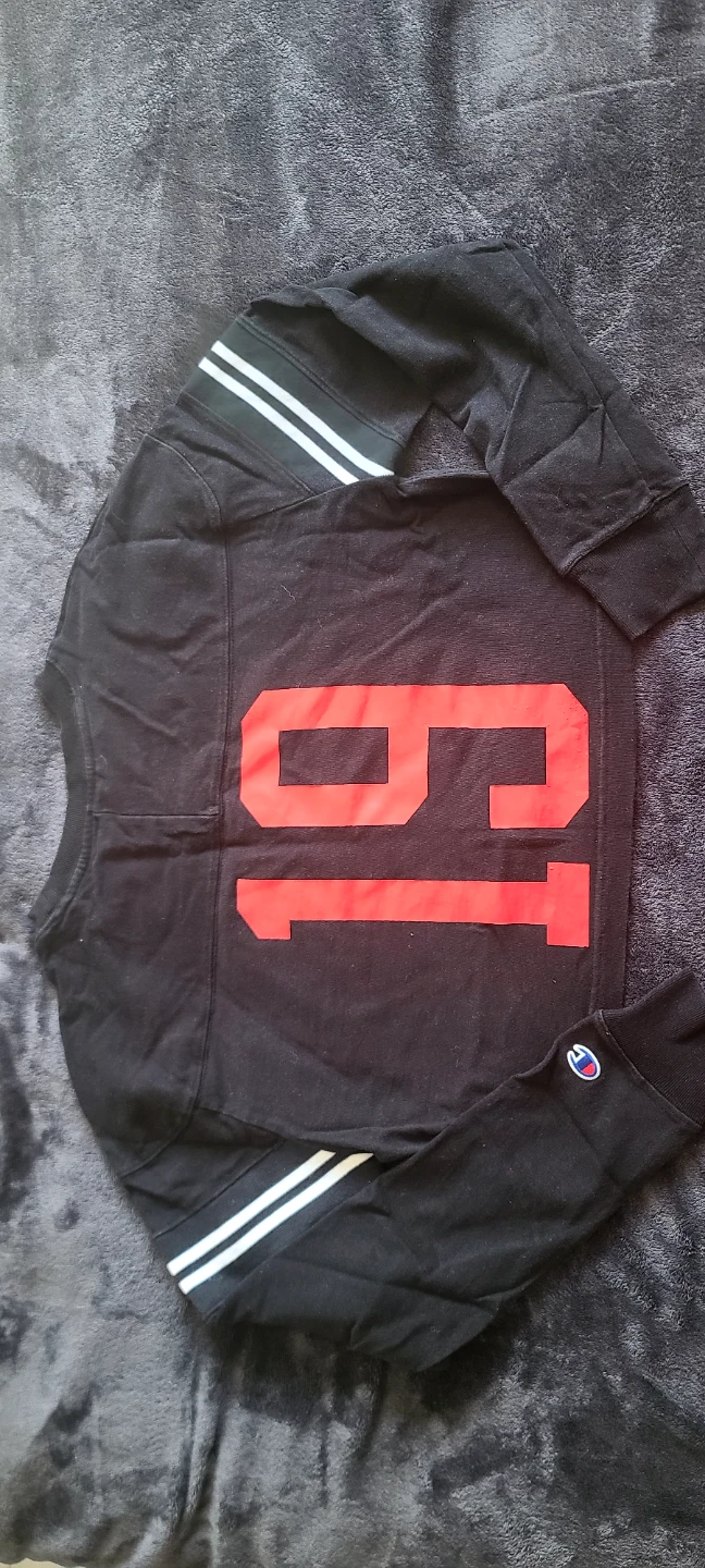 Champion Crop Sweatshirt - photo 4