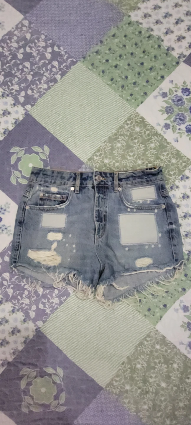 Size 5 High Rise Denim Shorts (Garage)
