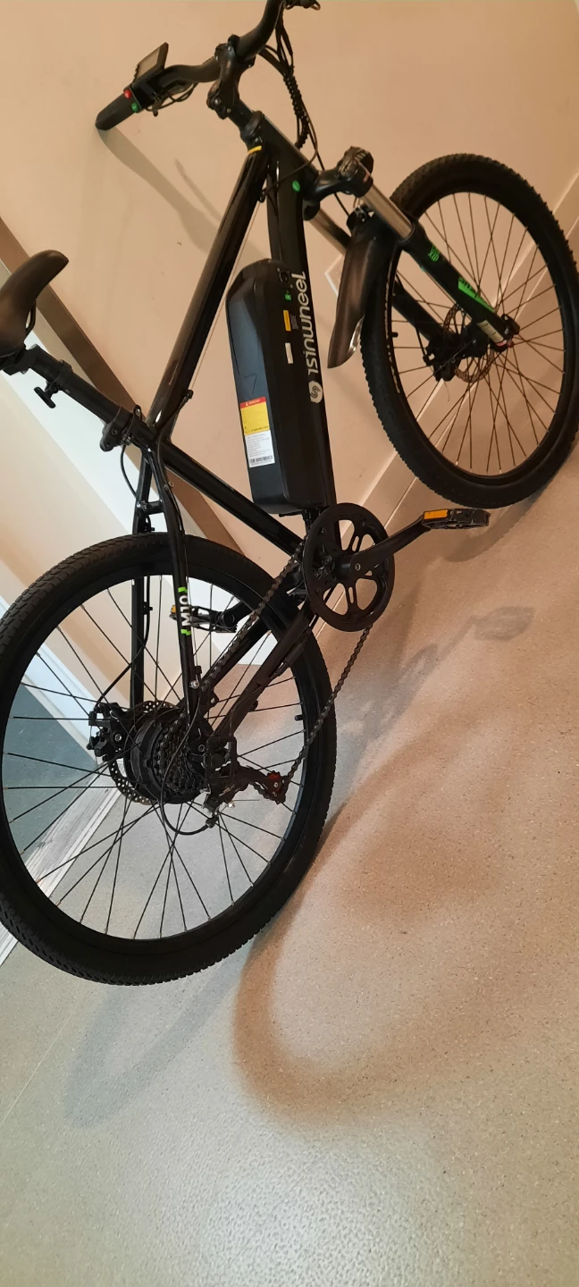 Isinwheel Electric Mountain Bike