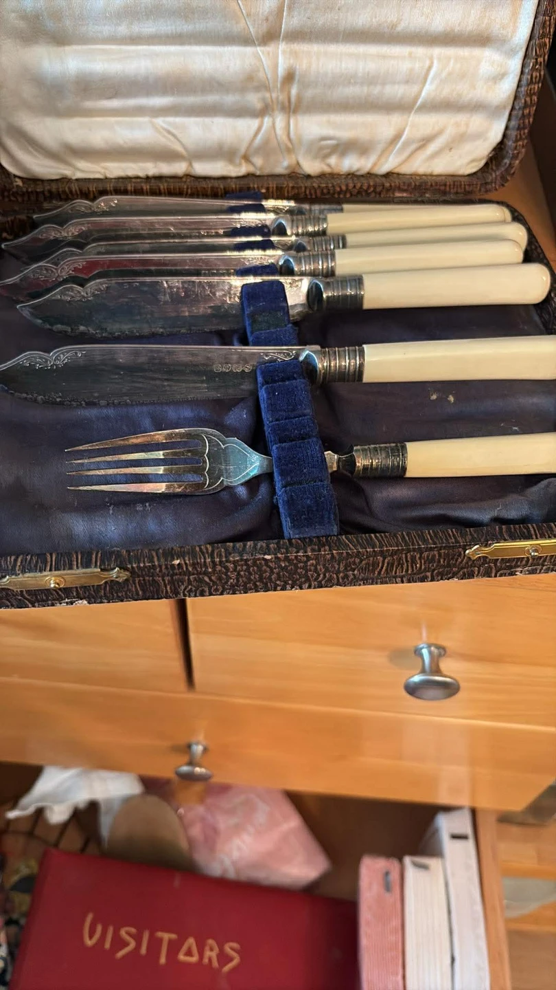 Vintage Cutlery Set with Ivory Handles