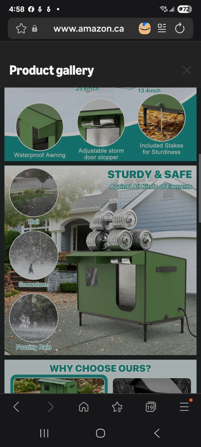 Outdoor Insulated Cat House with Waterproof Awning - photo 2