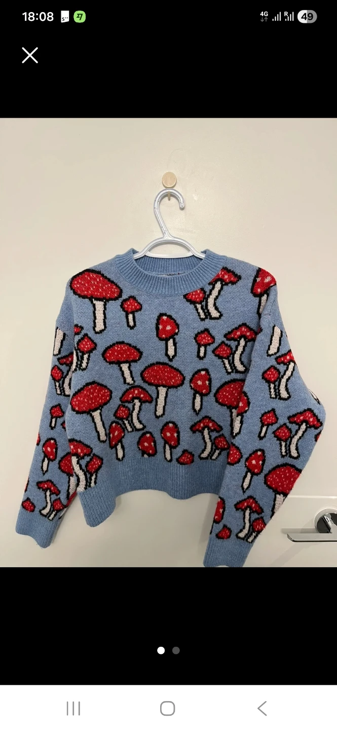 ZARA Blue Mushroom Knit Sweater