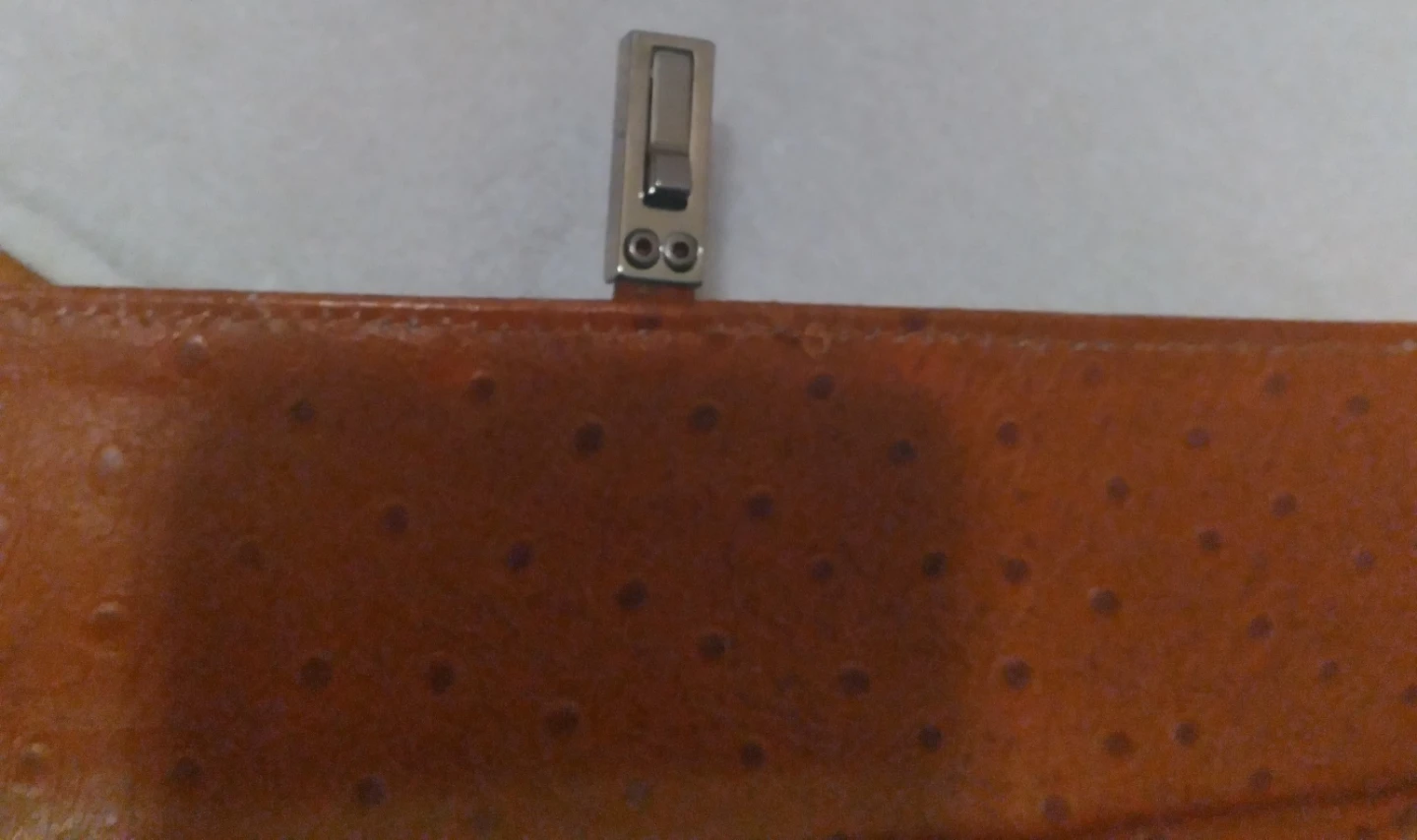 Brown Ostrich Leather with Buckle - photo 3