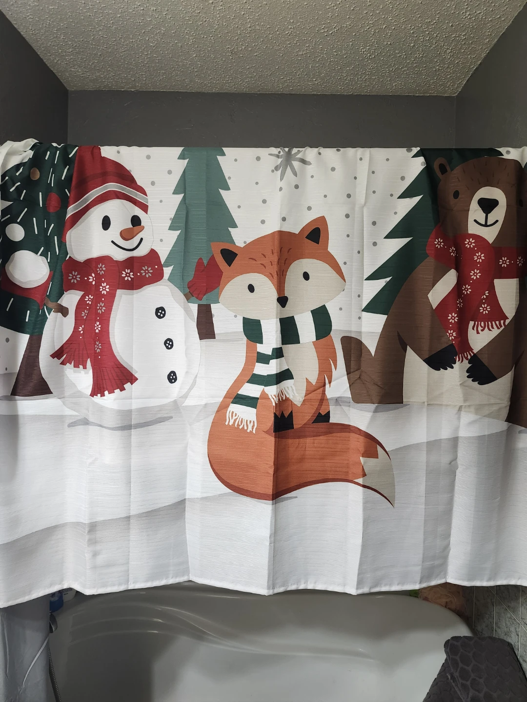 Brand New Shower Curtain