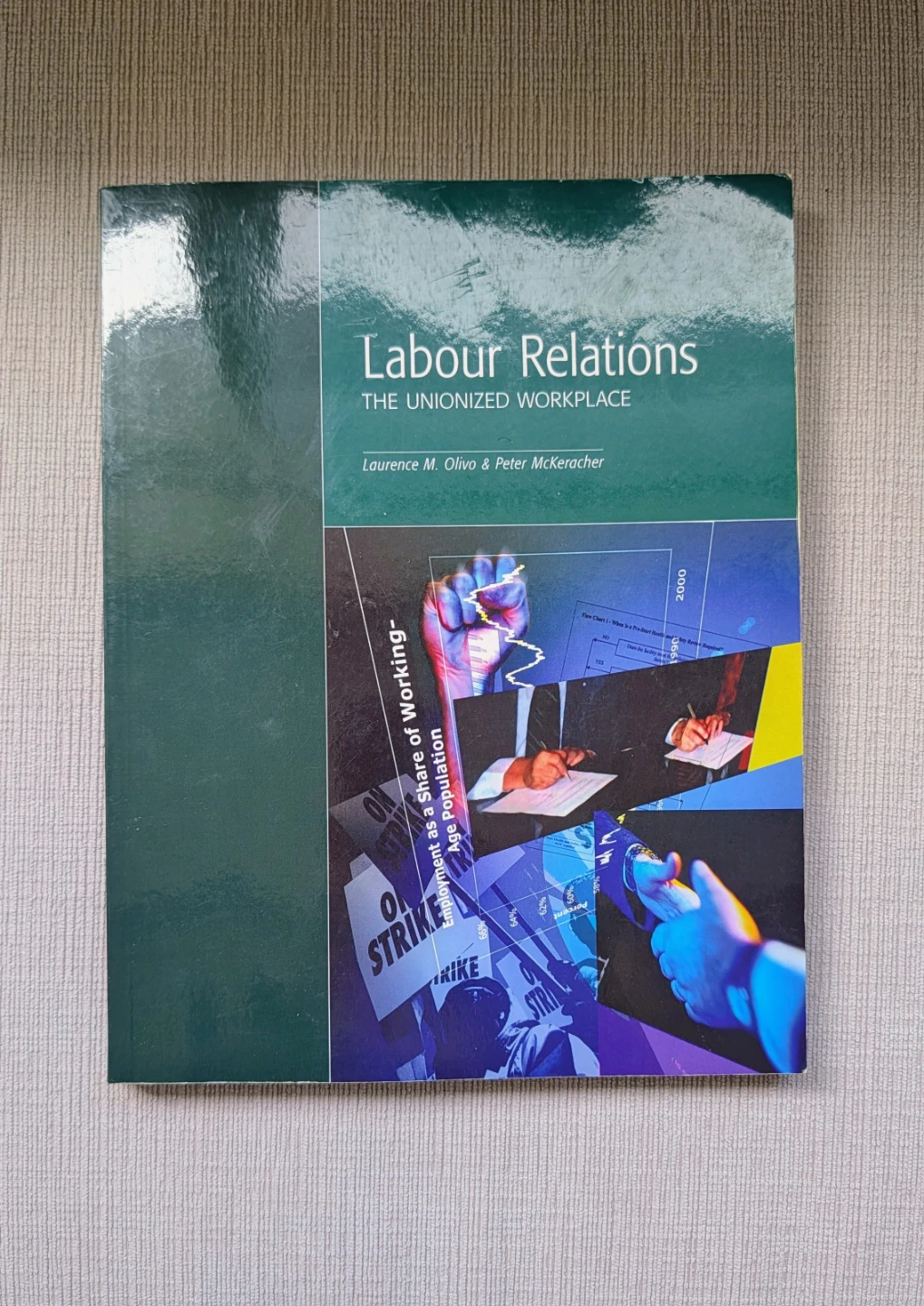 Labour Relations: The Unionized Workplace by Olivo & Mckeracher