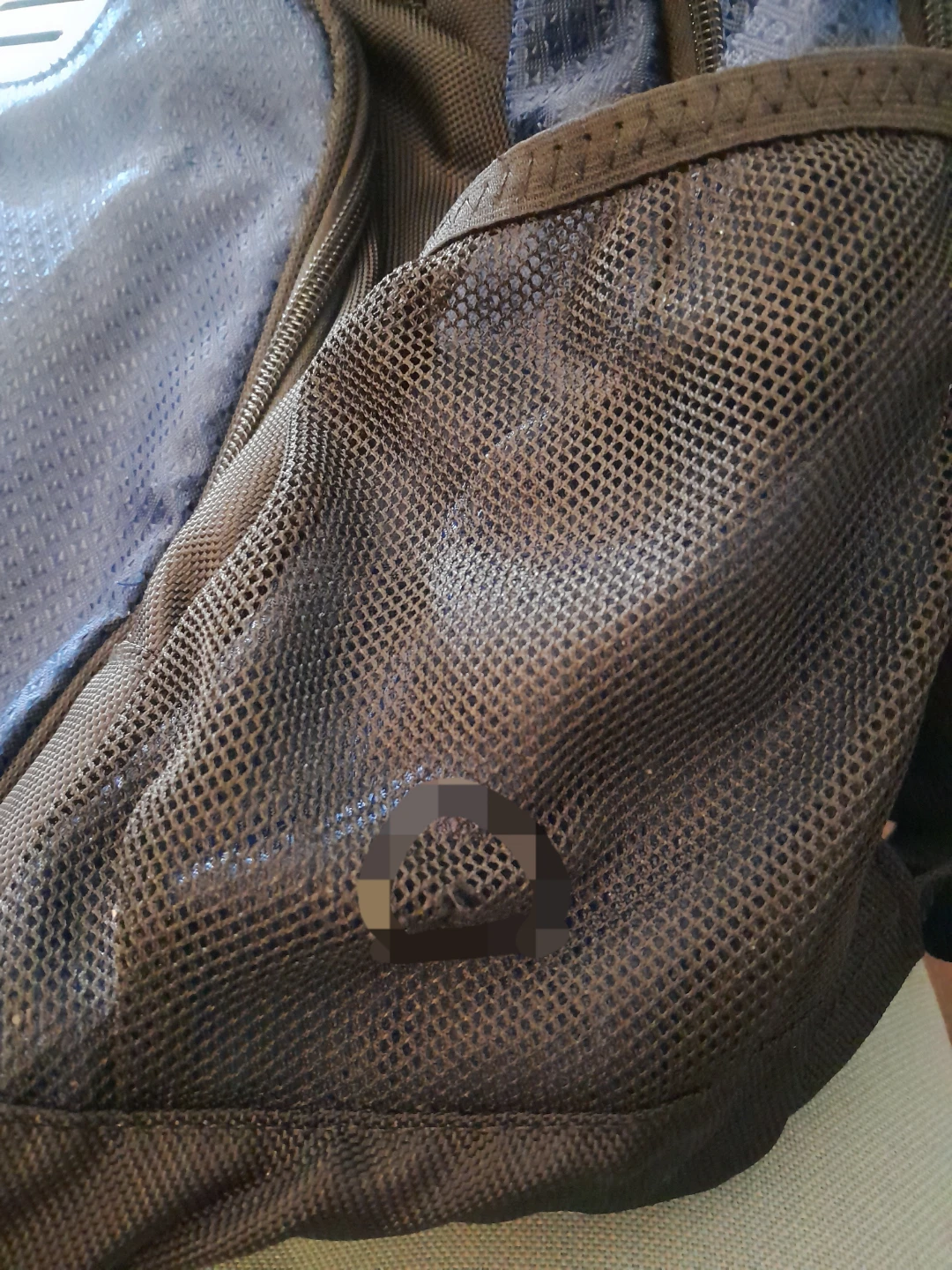 Champion Blue Backpack - photo 5
