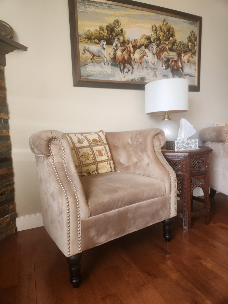 2 Velvet Accent Chairs with Studded Trim