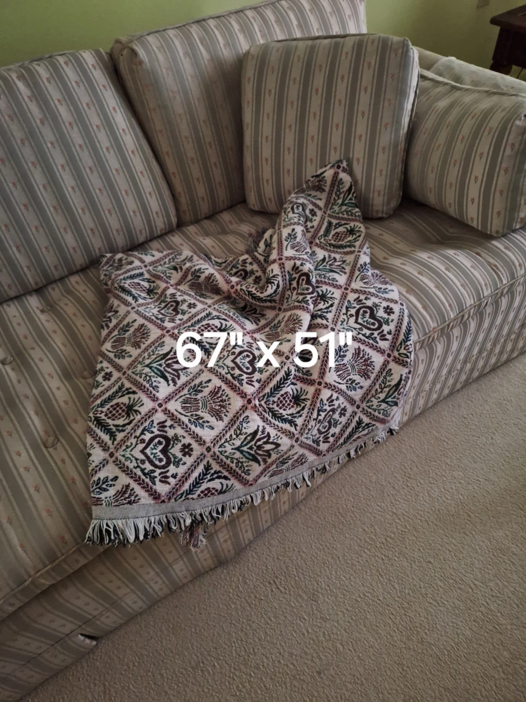 Throw Blanket 67" x 51"