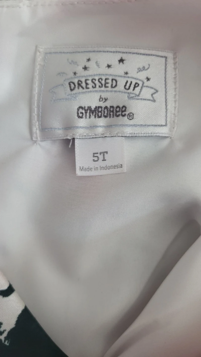 Gymboree "Dressed Up" Rose Print Dress - Size 5T - photo 2