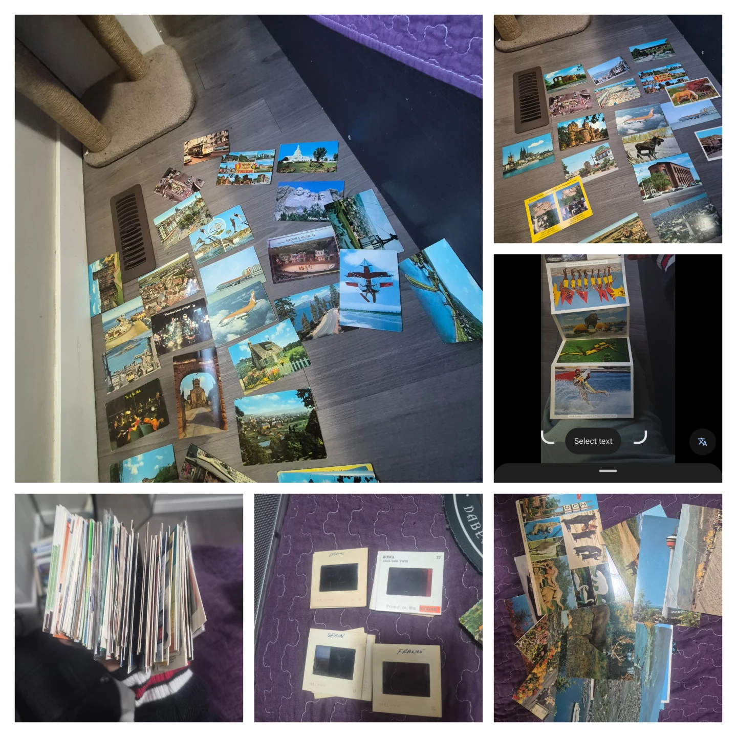 Downsizing - photo 4