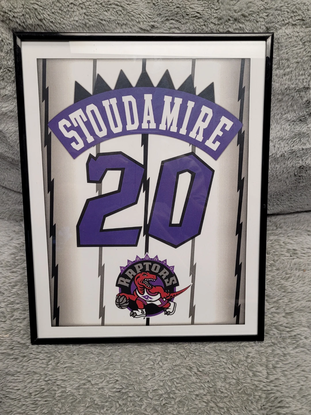 Framed Stoudamire 20 Toronto Raptors Memorabilia( 14x12 frame)