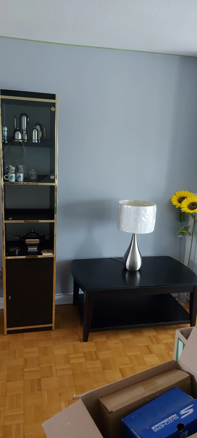 Tall Display Cabinet with Glass Doors / coffee table