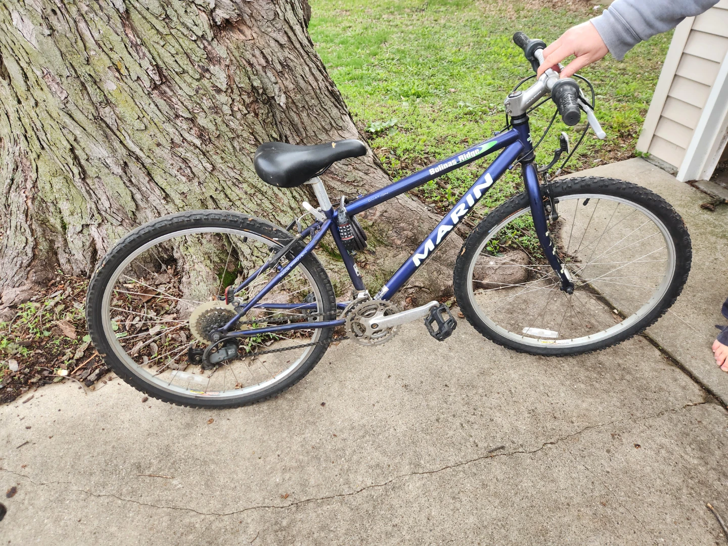 Marin Bobcat Ridge Mountain Bike