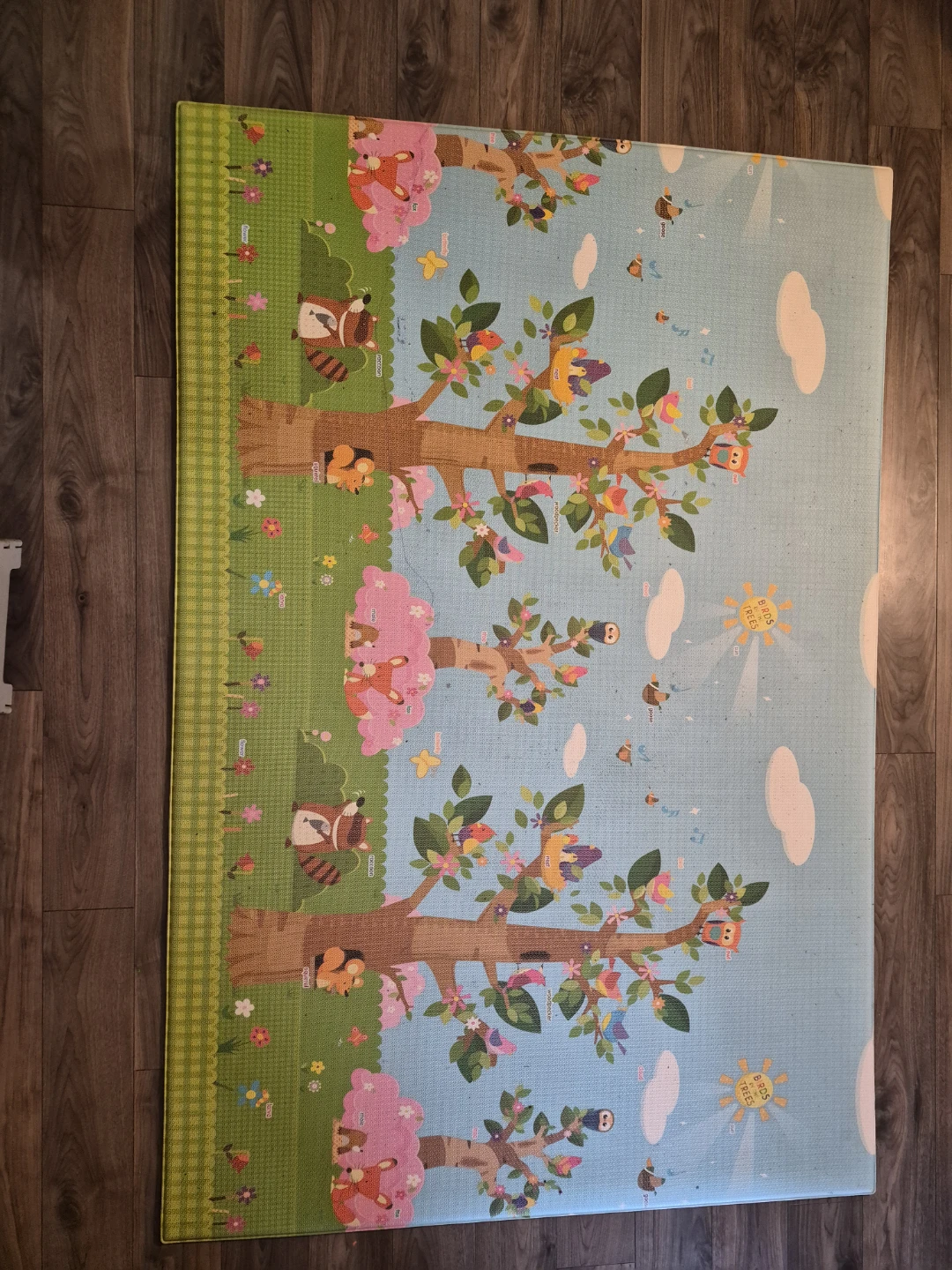 Animal Alphabet Play Mat - photo 2