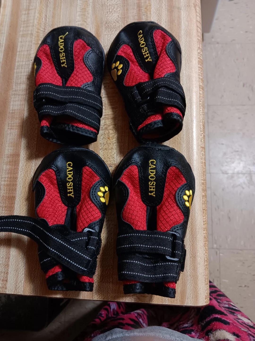 CADOSHY Dog Boots Set of 4