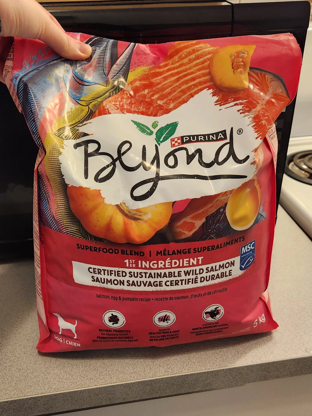 FREE Purina Dog Food