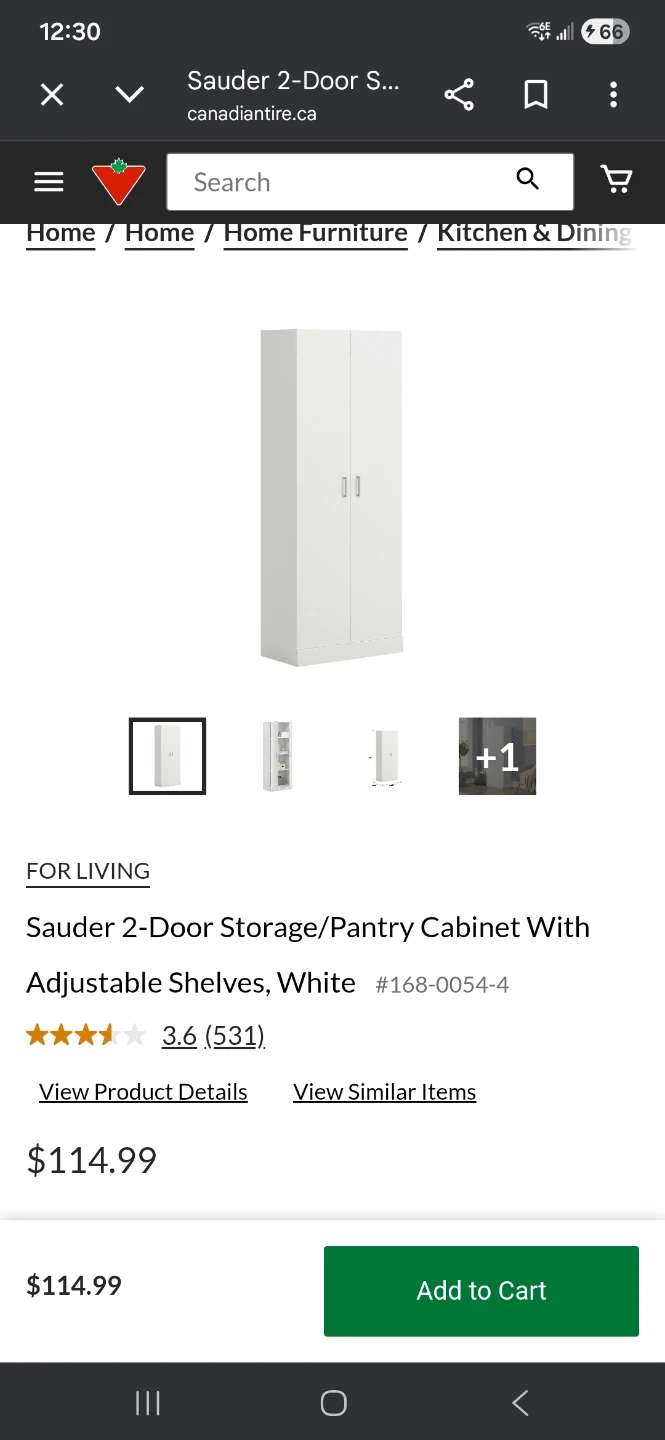 White Storage Cabinet with Double Doors - photo 3
