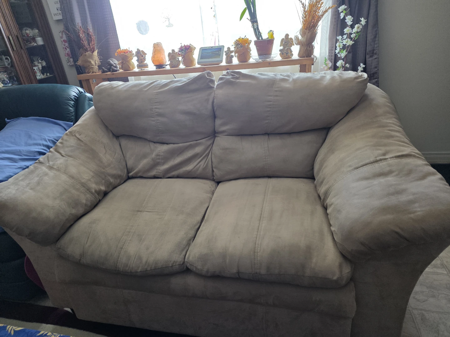Comfortable Loveseat Sofa