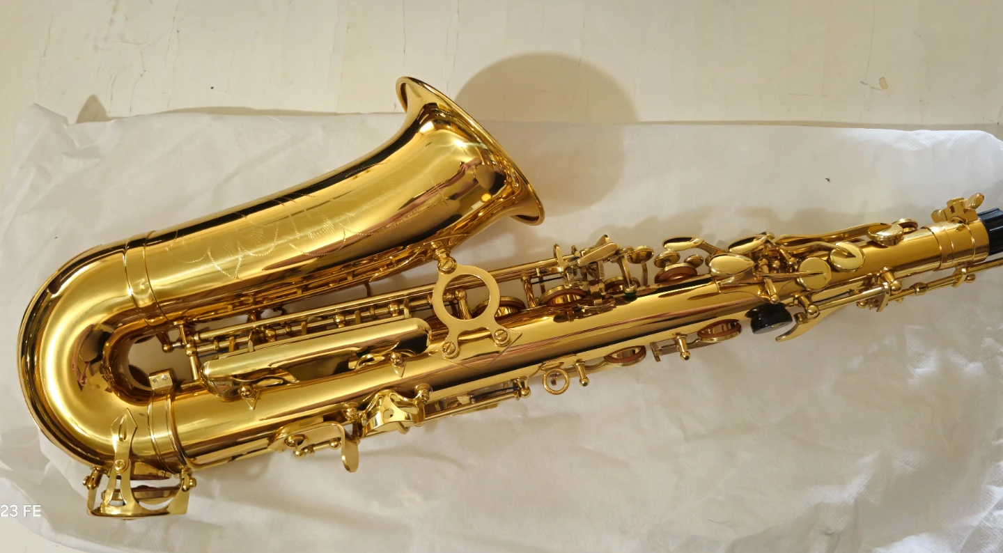 Alto Saxophone with Case and Accessories