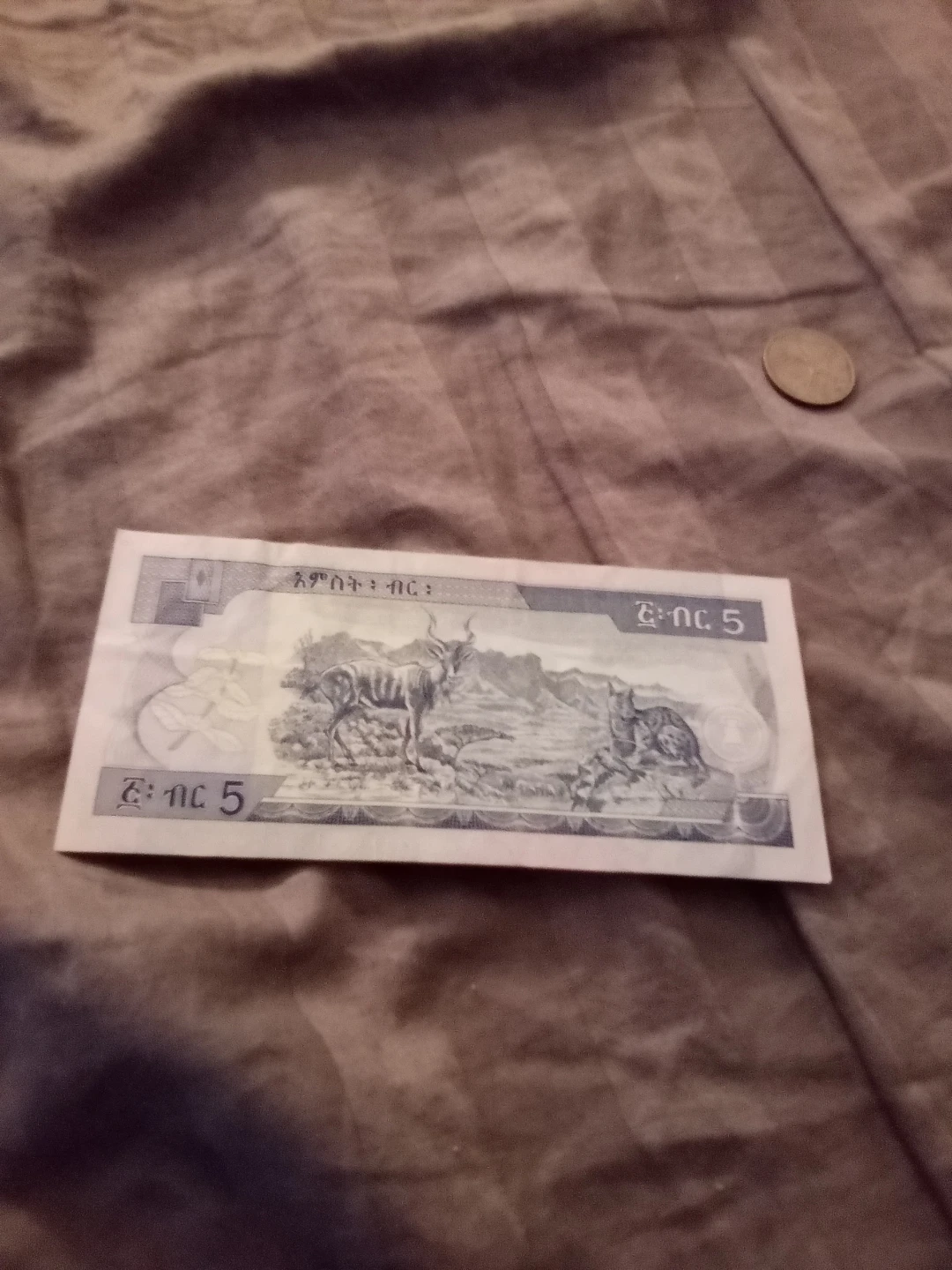 National Bank of Ethiopia 5 Birr Banknote - photo 3