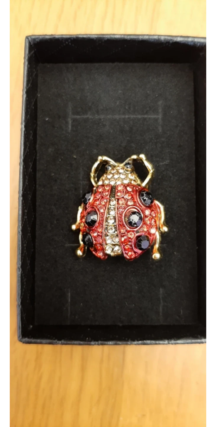 Ladybug Brooch