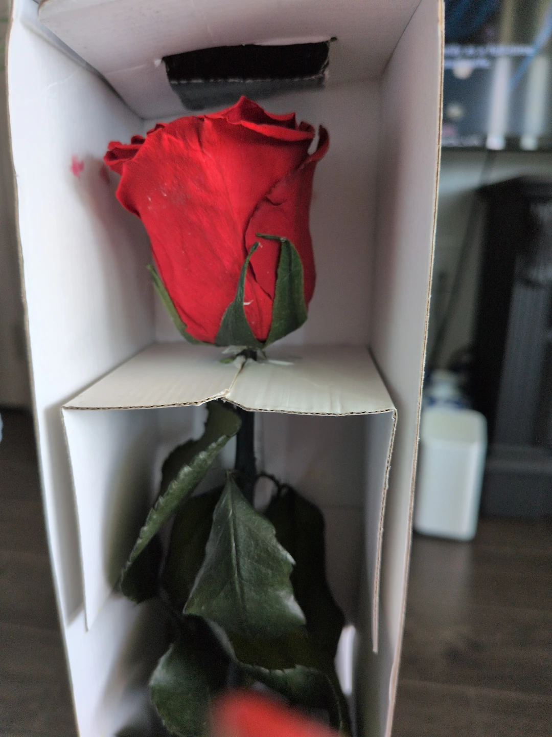 Rose Amor Preserved Red Rose - photo 3