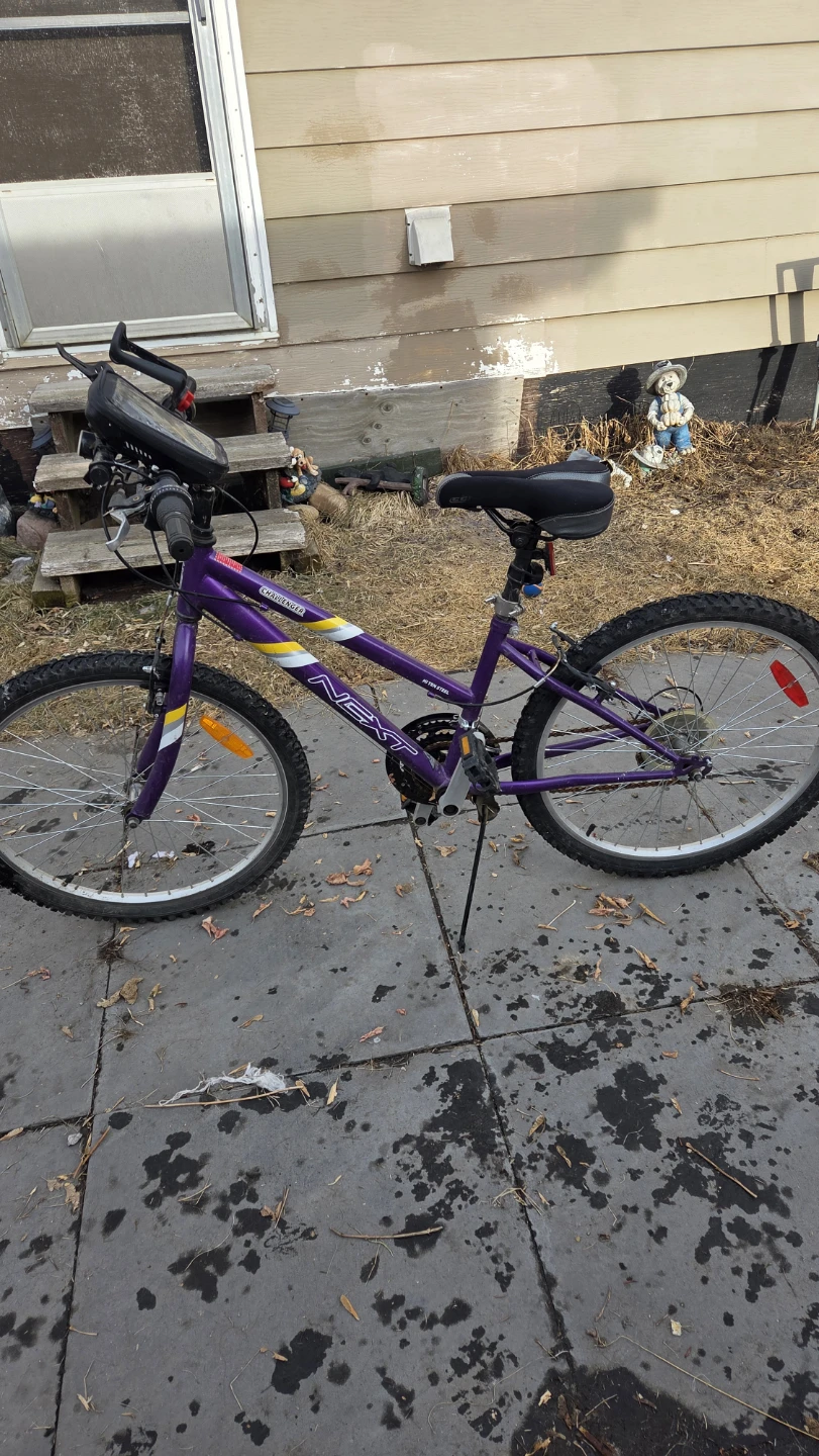 Purple NEXT Challenger Bike