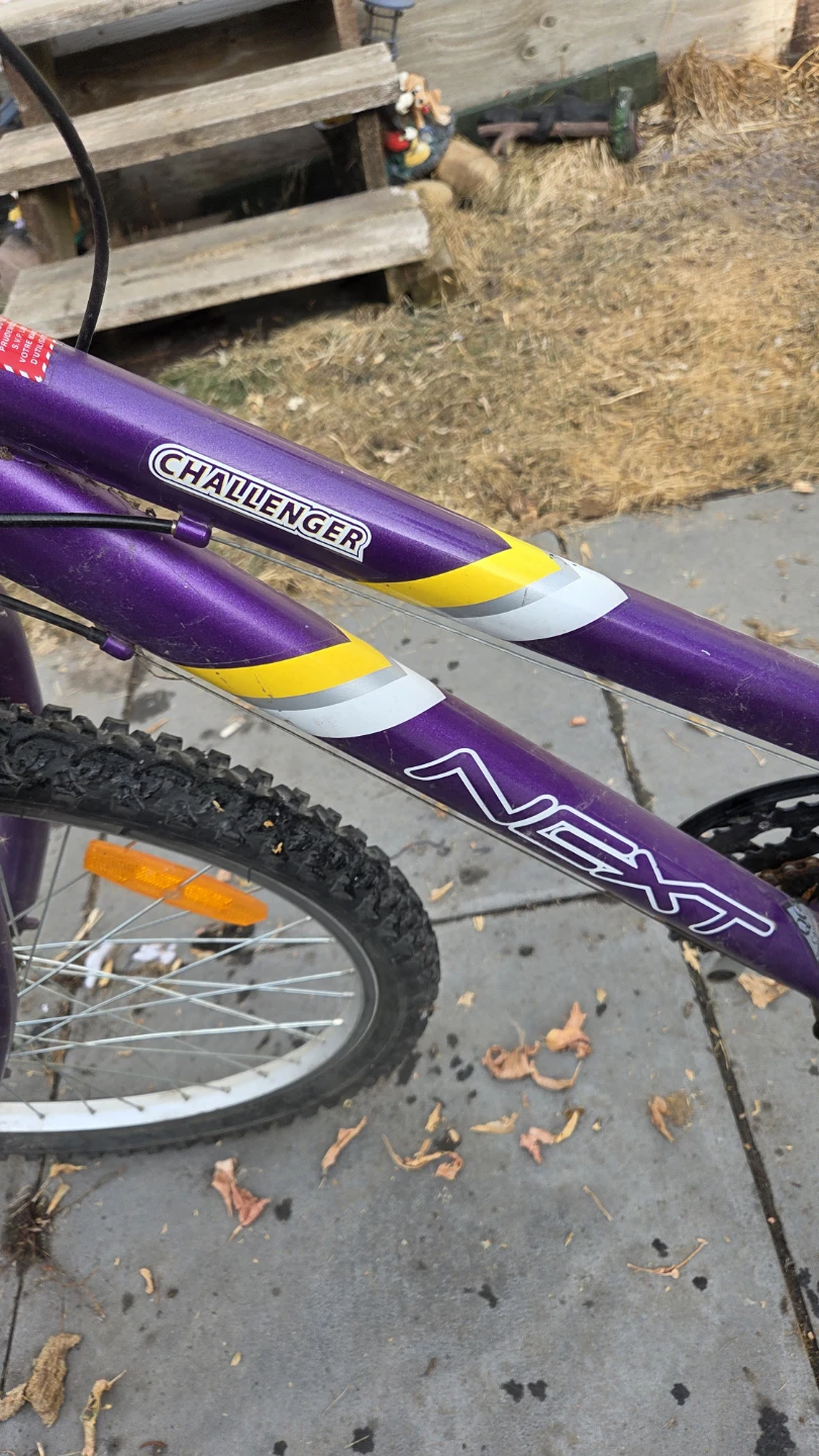 Purple NEXT Challenger Bike - photo 3