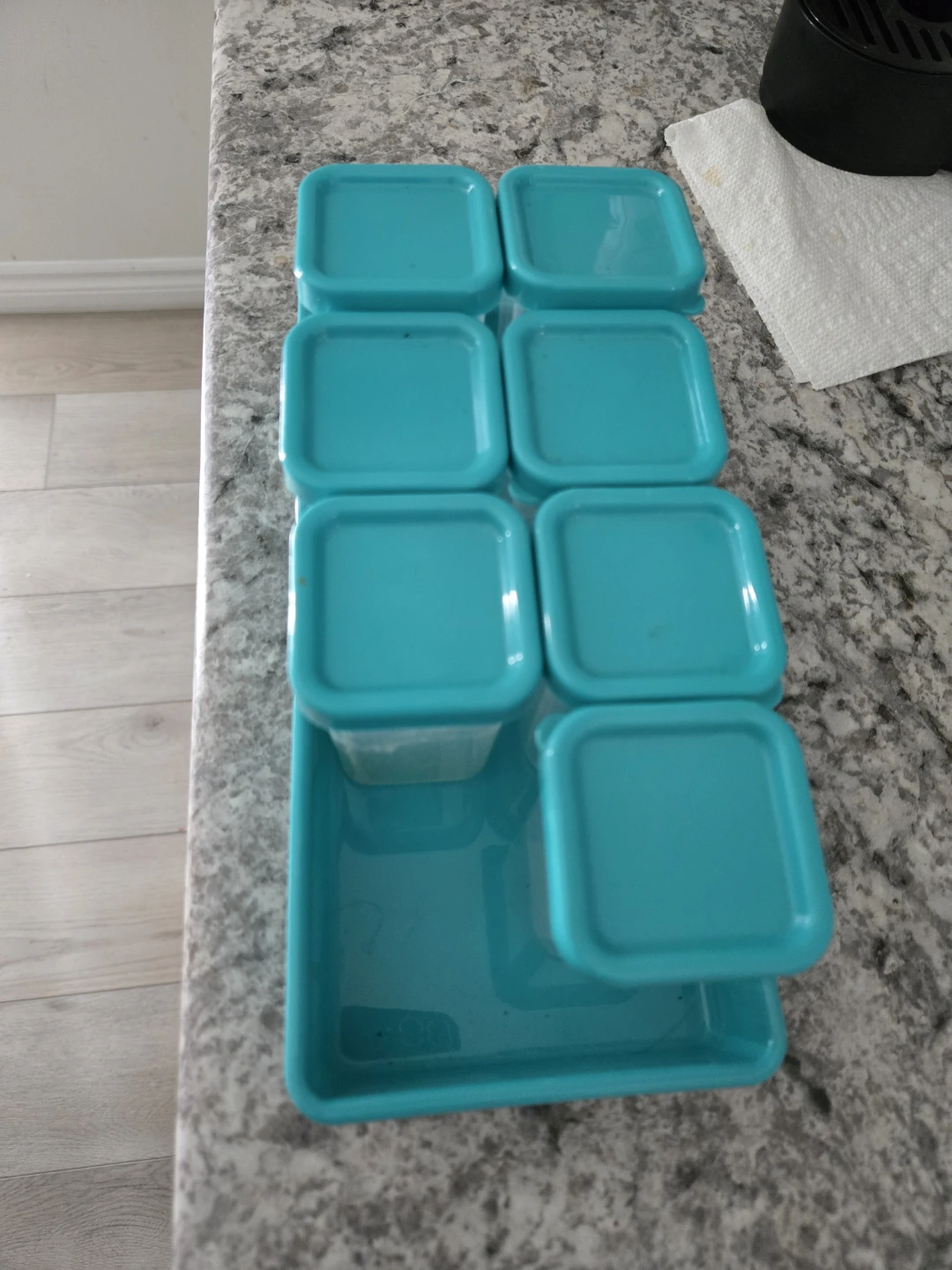 Set of 8 Teal Food Storage Containers with Tray
