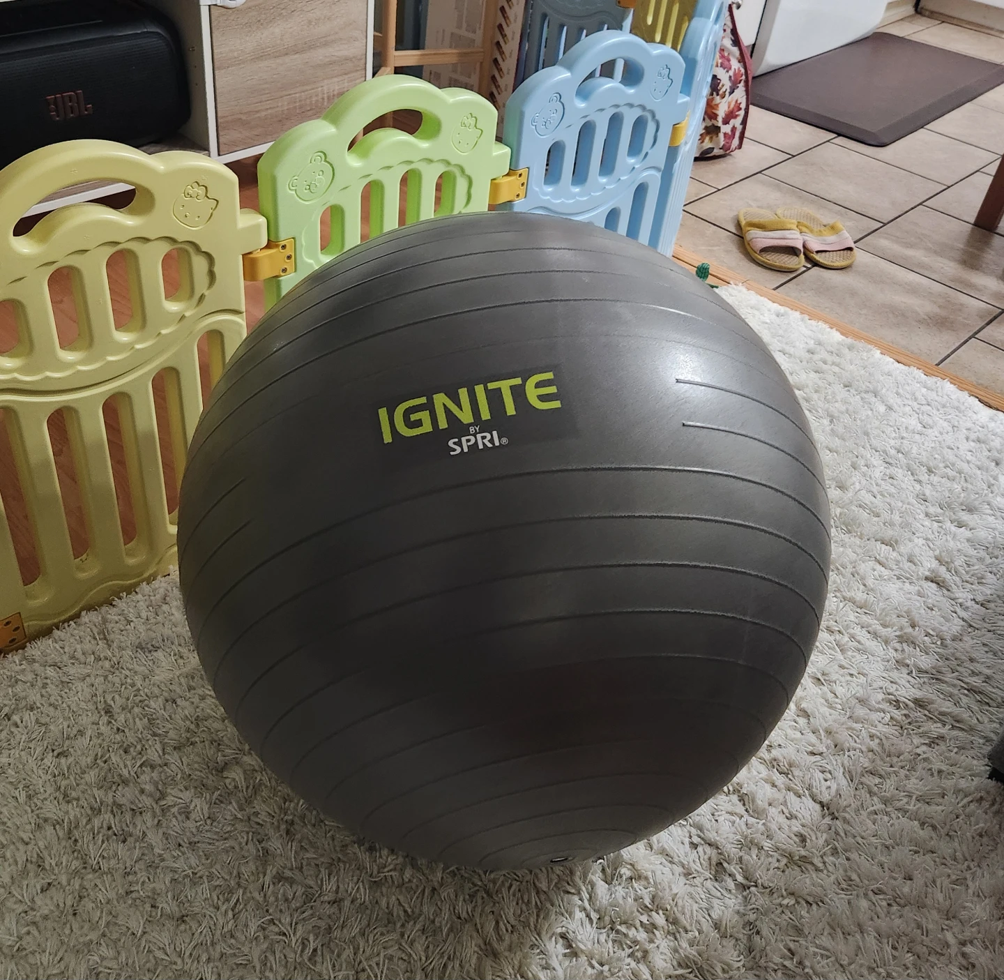 SPRI Ignite Stability Ball