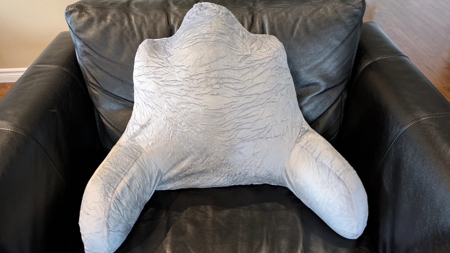 READING PILLOW (Brand New)