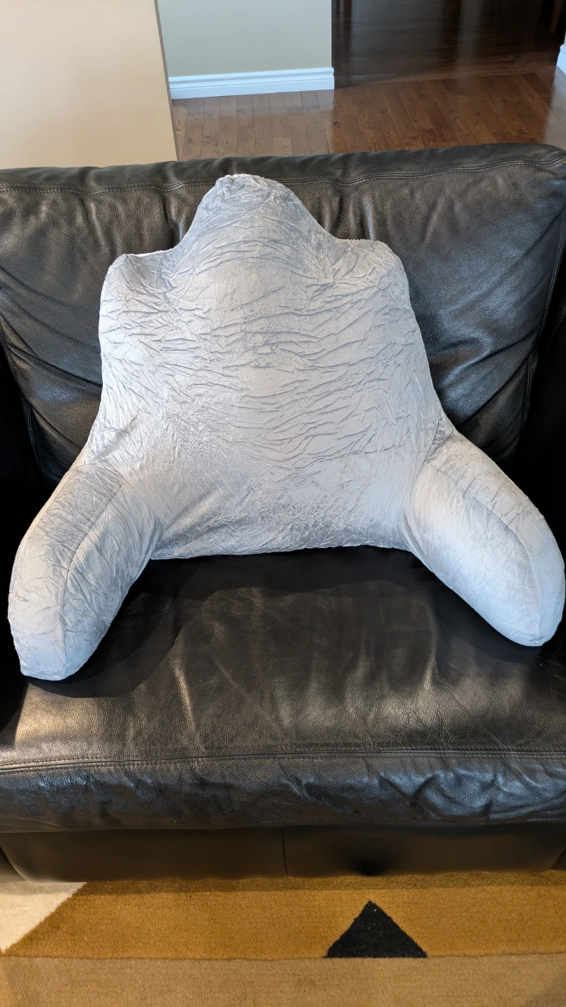 READING PILLOW (Brand New) - photo 2